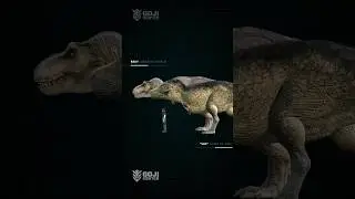 Rexy vs Sue size comparison