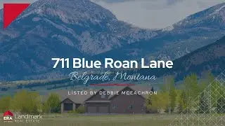SOLD: 711 Blue Roan Video
