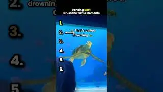 Ranking Best Crush the Turtle Moments ( He's Funny 🤣😭) #funny #ranking #shorts