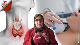 تتحكم في نبضات القلب وتساهم في النمو البدني والجنسي.. تعرف على دور هرمونات الغدة الدرقية (ج 2)