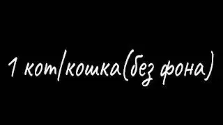 КИРИБАН!!!!!!!! НА 200 КОТЯТ.