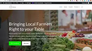 How to add a Mega Menu to Divi (WordPress)