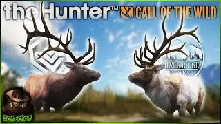 HE IS MASSIVE!!! Diamond & Piebald Rocky Mountain Elk To Start The Albino Grind! Call of the wild