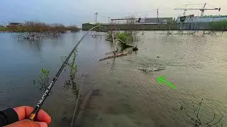 Mancing di Spot Anti Boncos part 1