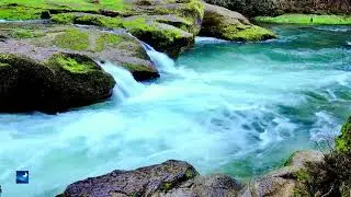 20 Min Guided Meditation For Sleep Running River Visualization | ShutEye App
