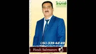 Fizuli Salmanov   Dag Ciceyi