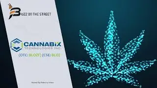 &ldquo;Buzz on the Street&rdquo; Show: Cannabix Technologies (OTC: BLOZF) (CSE: BLO) FAIMS Breathalyzer