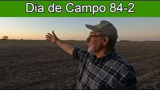 #84 - 2 - Tareas Rurales