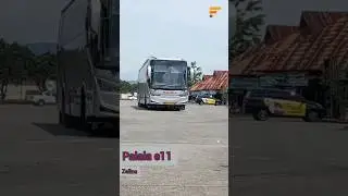 Bus Palala e11 