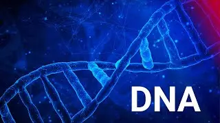 This is Allah's Creation 2 | The DNA Enigma: Design or Randomness?