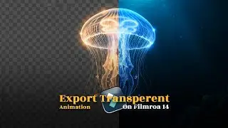How To Export Transparent Video On Filmora 14