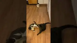 She&rsquo;s Seen This Before