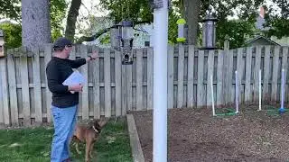 Squirrel Proof Bird Feeding Station