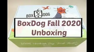 BoxDog Fall 2020 Dog Subscription Unboxing + Coupons