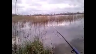 30. апрель 2016 карась