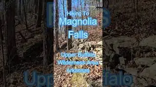 Magnolia Falls #hike #nature #ozarknationalforest #trekking #hikingadventures #shorts #wilderness