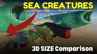 🌊 Legendary Sea Monsters Size Comparison 3D | BLOOP vs SEA EATER vs EL GRAN MAJA. Mythical Creatures