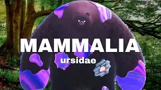MAMMALIA:URSIDAE