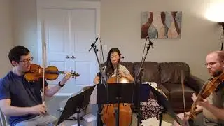 Beethoven - String Trio No. 1 in Eb Major, op.3, mvt 1