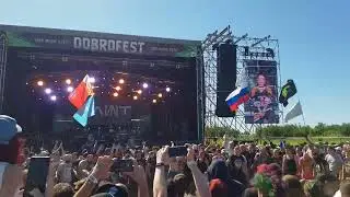 Слот - Естественный отбор (Доброфест 2022)