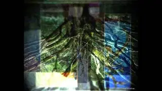 Audioveerus - Immune to Life | AV01