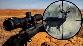 Fair Chase Africa Hunting