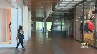 Baltimore Mayor Jack Young Says Harborplace Should Be, 
