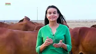 Sindi Castilho - Episódio 4 - Serie da Raça Sindi