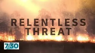 Three bushfires merge in the Bega Valley to create monster firefront | 7.30
