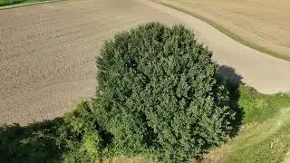 JahDan s relaxe drone cinematics 