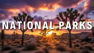Top 15 National Parks To Visit in United States | Scenic Hunter Talk