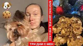 🍪 Уютен следобед + домашни Kookie Cat бисквитки - ВЛОГМАС ДЕН #18, #19 и #20 🐶