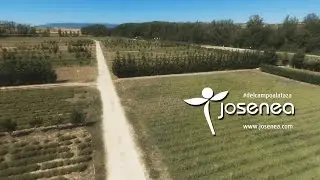 SABOREA JOSENEA BIO. SIENTE IRATI EN TU PIEL.