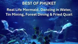 Best of Phuket - Day 5: Real Life Mermaid, Dancing in Water, Tin Mining, Forest Dining & Fried Quail