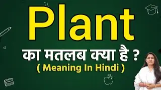 Plant meaning in hindi | Plant ka matlab kya hota hai | Word meaning