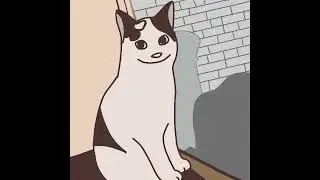 polite cat meme