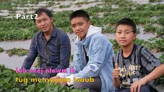 Lub neej ntawm ib tug me nyuam tsaub part2 3/17/2024