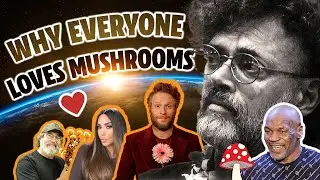 🍄 🚀 Shroom Boom?!? The EPIC Rise Of Mushroom Culture