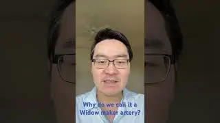 Why do we call it a widow maker artery? #coronaryarterydisease #heartattack #heartdisease #cardio