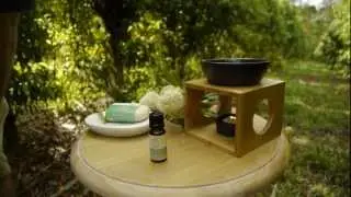 Lemon Myrtle essential oil for skin care, chemical free cleaning, aromatherapy, food flavouring,