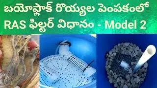 RAS Filter Methods used in Bioflock Shrimp Farming Model-2 || బయోఫ్లాక్ లో RAS ఫిల్టర్ విధానాలు