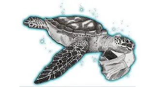 coronavirus speed drawing | turtle stuck in a coronavirus mask | draw like kerby rosanes