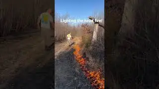 Lighting a head fire on a prescribed burn. On the other side of this unit we have a large Backburn