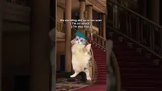 R6 meme!