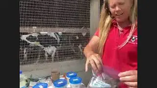 Nutrition & Health Cow to Cone Virtual Field Trip - May 2021
