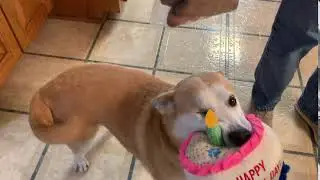 Happy 4 Year Adoptaversary Mama!