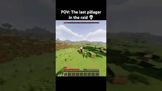 The last pillager #foryou #minecraft #fyp #shorts #gaming #viral