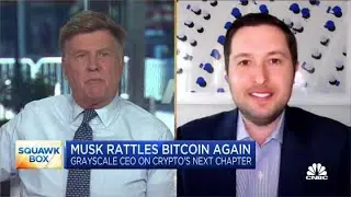 Grayscale CEO on Elon Musk's tweet rattling crypto markets