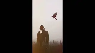 FIRST HINDI RAP | Exposing Society&rsquo;s Double Standards | Shadow Sing