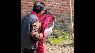 saras aur arif ki dosti 😱 #Shorts #viral #youtubeshorts